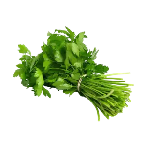 FRESH CORIANDER | DHANIYA | 100 g