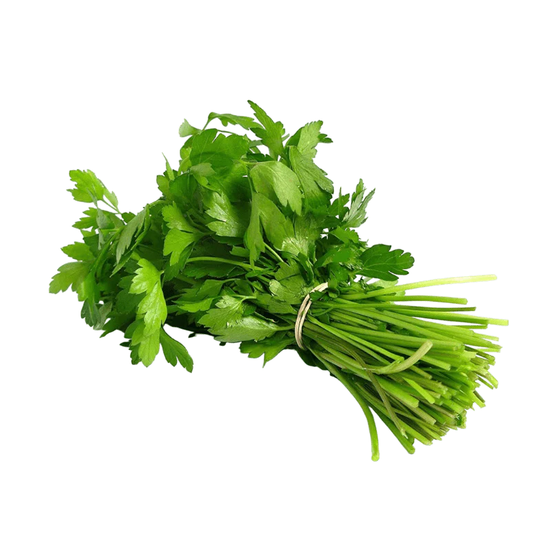 FRESH CORIANDER | DHANIYA | 100 g