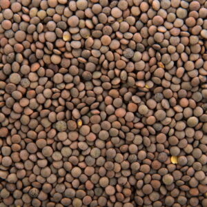 WHOLE MASOOR DAL (SABUT) | 500g