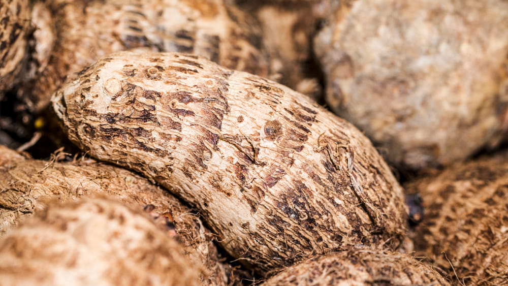 Colocasia (Arbi) | 250g | 500g | 1 kg
